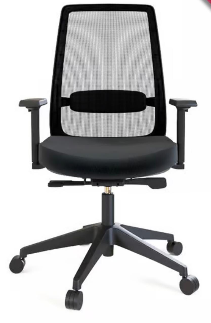 Ergonomic Office Chair